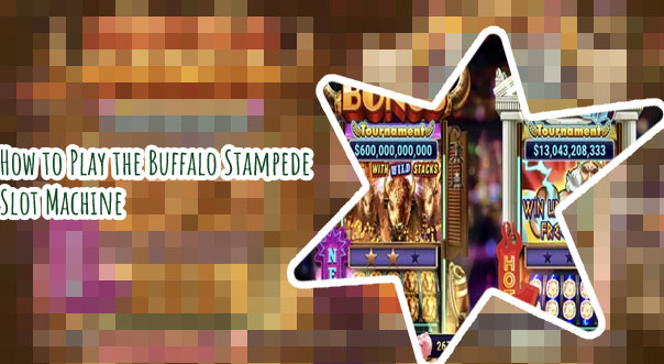 Buffalo stampede slot machine