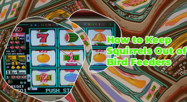 Cherry master slot machine to play for free
