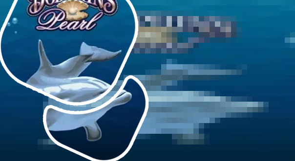 Dolphin pearl free slots